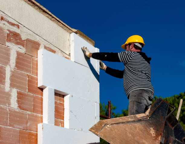 Best Commercial Insulation in San Carlos, AZ