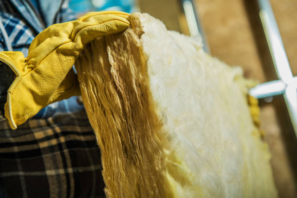 Best Insulation Maintenance and Repair in San Carlos, AZ
